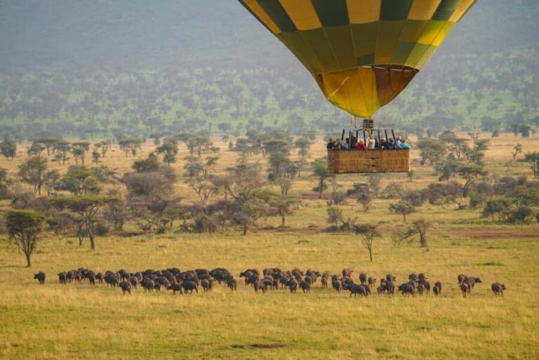 Arusha: 7-Day Safari to Tarangire, Serengeti, and Ngorongoro - Who Is This Tour Best For?