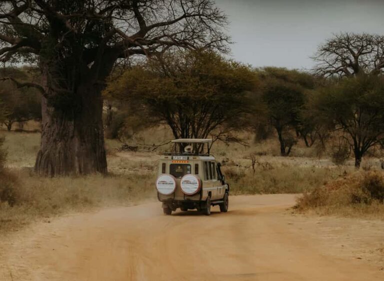 Arusha: Day Trip to Arusha National Park with Lunch. - Who Will Love This Tour?