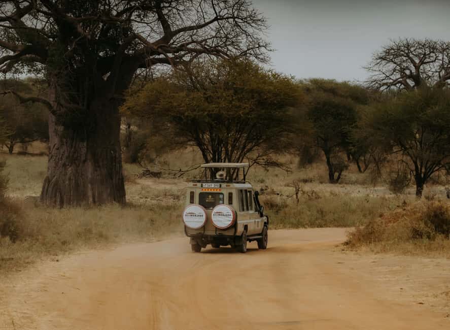 Arusha: Day Trip to Arusha National Park with Lunch. - Who Will Love This Tour?
