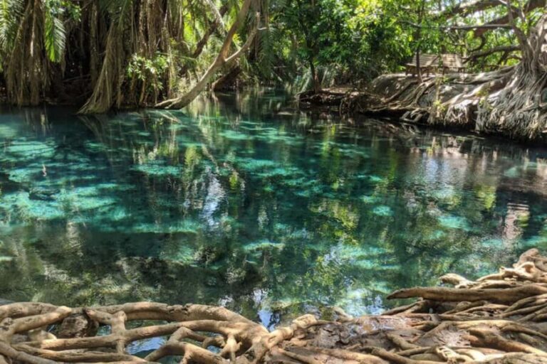 Arusha: Day Trip to Kikuletwa Hot Springs - FAQ: Quick Questions About the Kikuletwa Hot Springs Day Trip