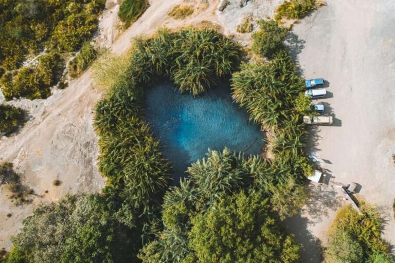 Arusha: Day Trip to Kikuletwa Hot Springs Swimming - What You Should Know Before Booking