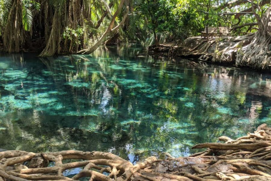 Arusha: Day Trip to Kikuletwa Hot Springs - FAQ: Quick Questions About the Kikuletwa Hot Springs Day Trip
