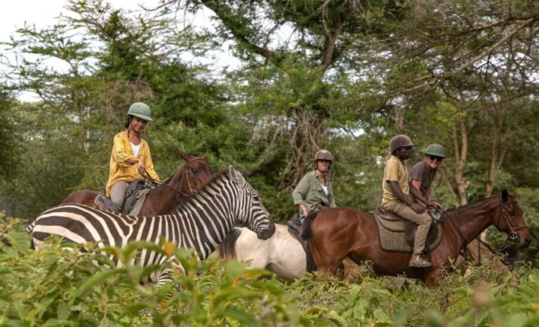 Arusha: Horseback riding and a sundowner - What You Can Expect on This Tour