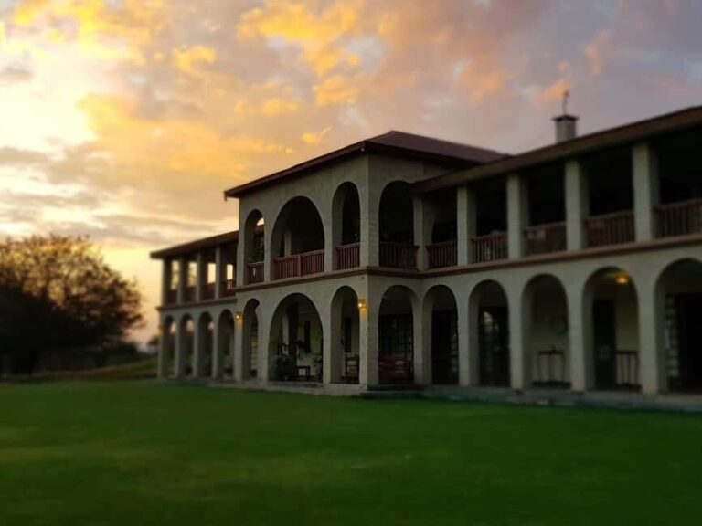 Arusha: Kili Golf Club Green Fees and Wildlife - Why This Experience Is Worth Considering