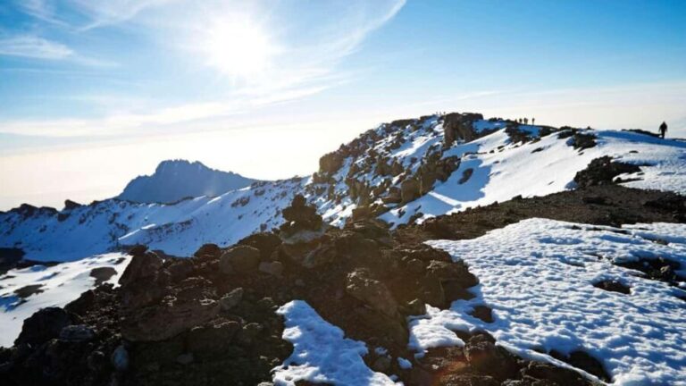 Arusha: Kilimanjaro Day Hike to Mandara Hut - Who Should Consider This Tour?