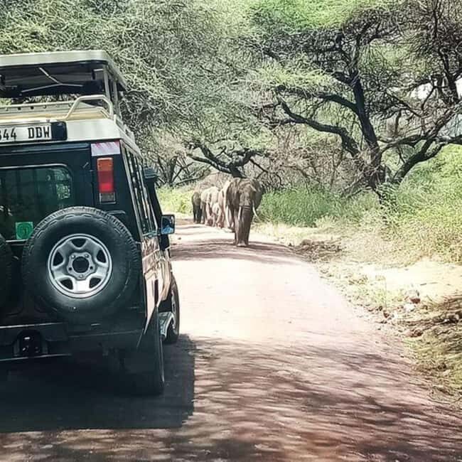 Arusha: Lake Manyara National Park Full-Day Safari - The Experience from Travelers’ Perspectives