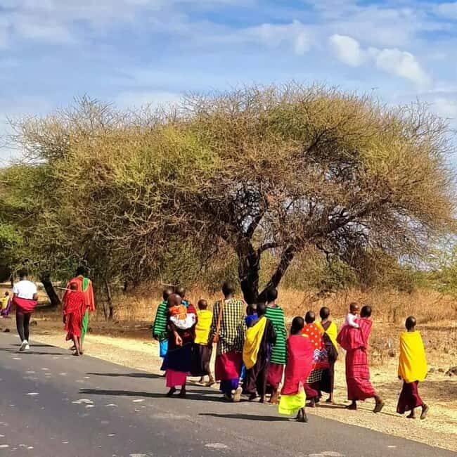 Arusha: Maasai Boma Cultural Day Trip - Authentic Experiences and Genuine Interactions