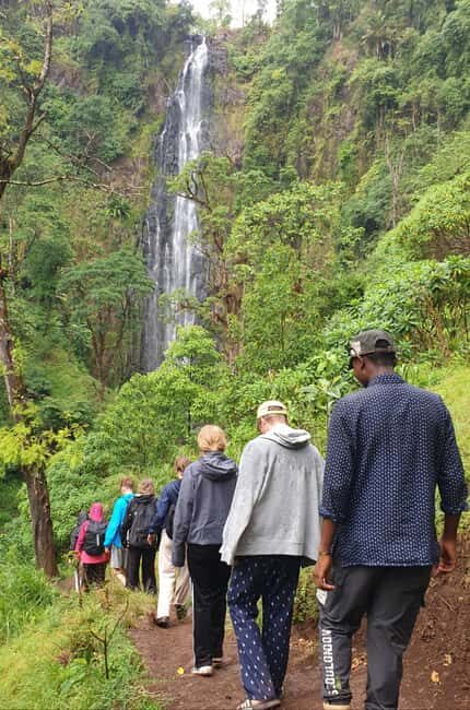 Arusha: Materuni Waterfalls, Hot Springs and/or Coffee Tour - The Guides: The Heart of the Experience