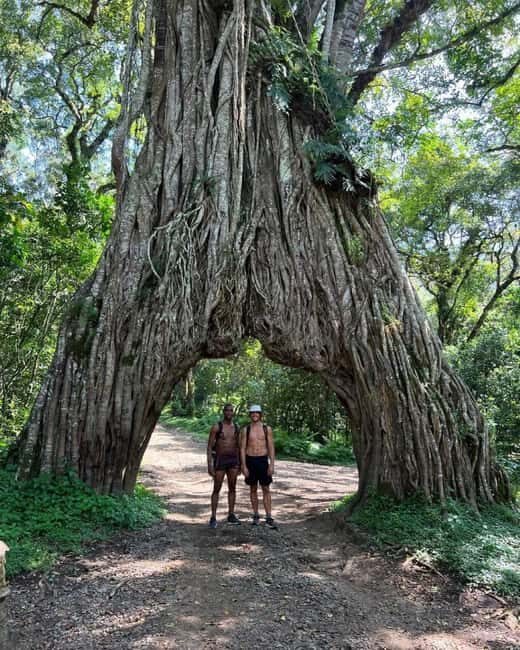 Arusha: Mount Meru Day Hike with Lunch and Transfers - The Itinerary Breakdown: What You Can Expect