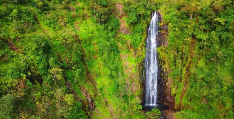Arusha: Mount Meru Waterfall Day Trip with Lunch - The Waterfall and Picnic Experience