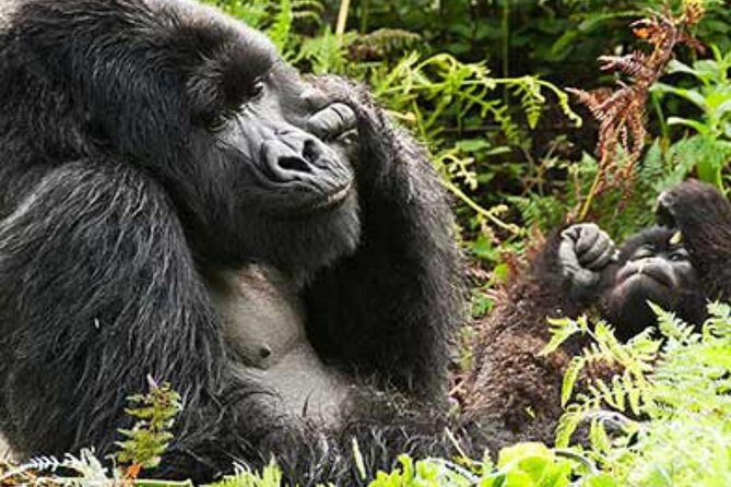 Arusha National Park 4 Days - The Itinerary in Detail