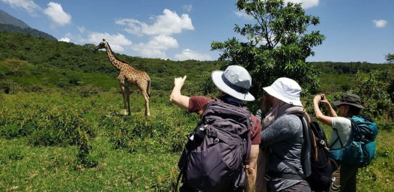 Arusha: National Park Day Trip with Walking Tour - Is It Worth the Price?