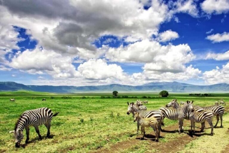 Arusha: Ngorongoro Crater Day Trip with Game Drive - The Descent into the Crater