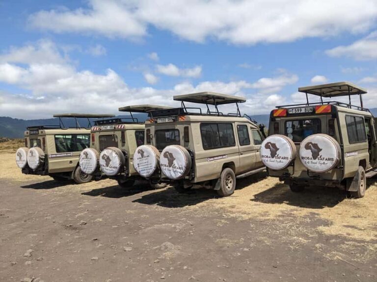 Arusha: Ngorongoro Crater Day Trip with Game Drive - The Experience & Practical Details