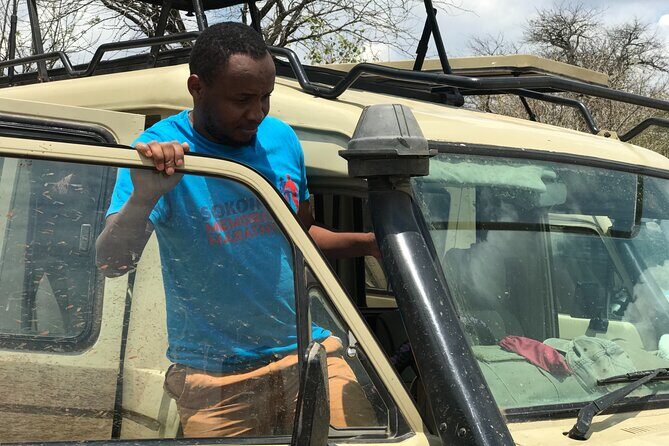 Arusha Private Transport Service in Tanzania - Beyond the Basic Transfer: Custom Tours and Safari Packages
