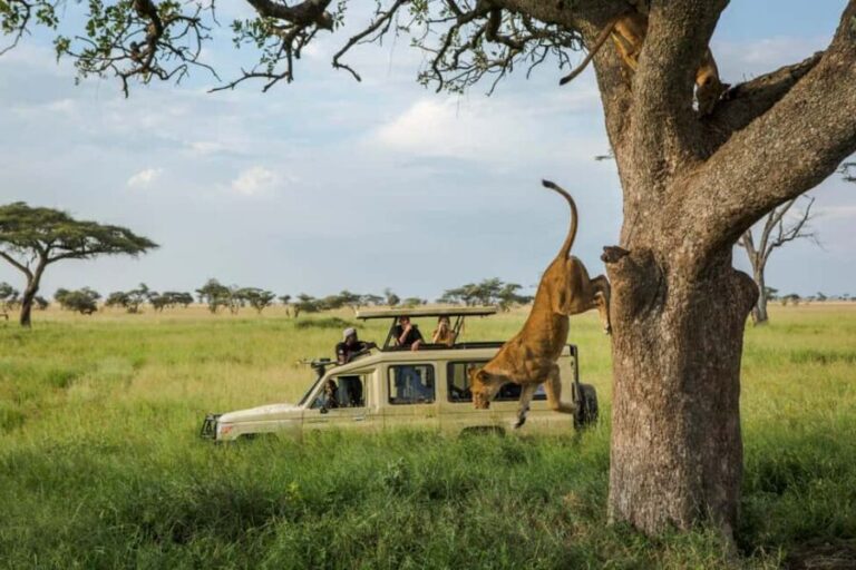 Arusha: Serengeti and Ngorongoro Multi-Day Camping Safari - Practical Considerations