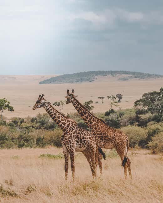 Arusha: Tarangire & Lake Manyara National Parks 2-Day Safari - What Sets This Tour Apart?