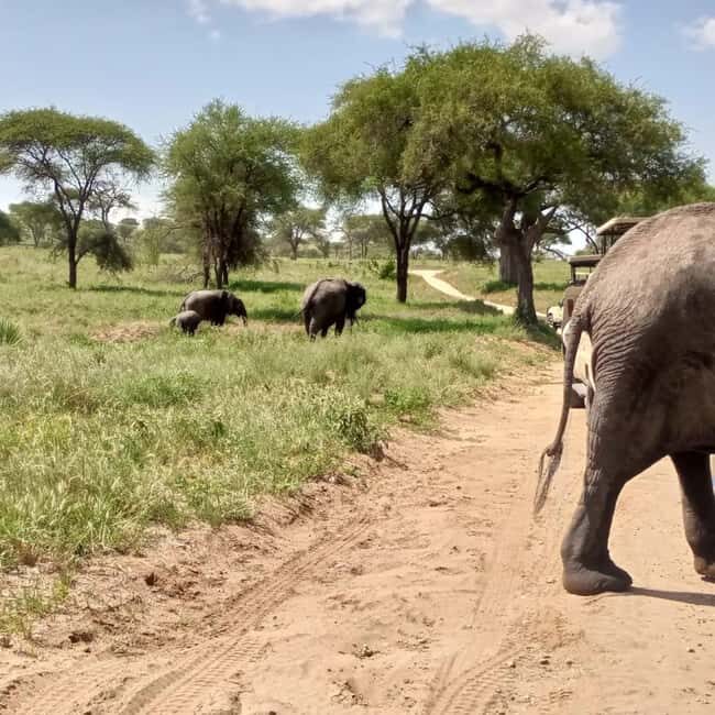 Arusha:Day Trip Safari to Arusha National Park - Exploring Arusha National Park: What Makes It Special