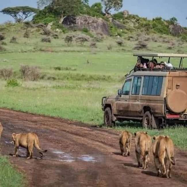 Arusha;Group Tour (The World Heritage Site)Ngorongoro Crater - What’s Included and What’s Not?