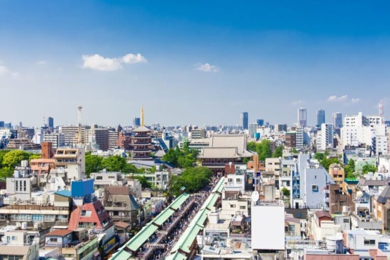 Asakusa : Sensoji Temple + Craft Sake Brewery Tour - What’s Included and What’s Not