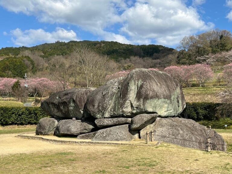 Asuka: Private Guided tour of an ancient capital of Japan - Who Will Love This Tour?