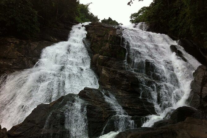 Athirapally Waterfalls from Cochin - The Itinerary: What to Expect