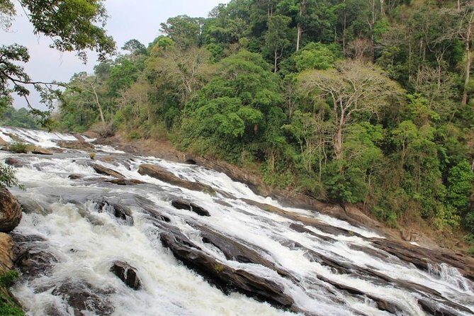 Athirappally & Vazhachal Waterfall Tour with Lunch - An In-Depth Look at the Tour Experience