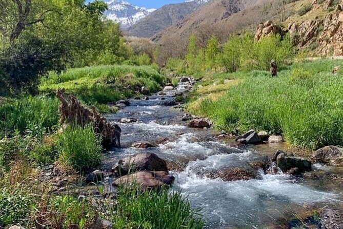 Atlas Mountain & Camel ride, day trip - What the Tour Includes and Excludes