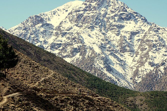 Atlas Mountains and Agafay Desert 4x4 Safari - Why This Tour Offers Great Value
