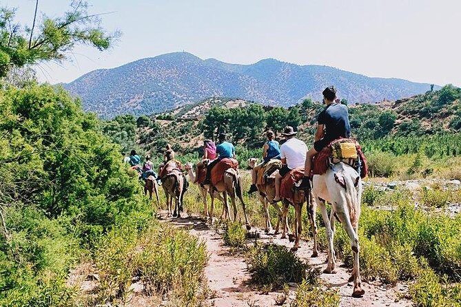Atlas Mountains and Camel Ride Day Trip From Marrakech - A Well-Organized Escape into Nature and Culture