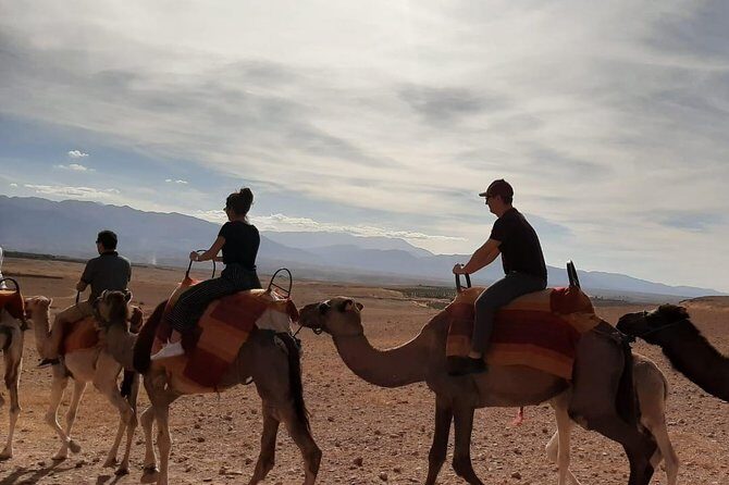 Atlas Mountains and Three Valleys & Waterfalls with Camel ride Day Trip - Authentic Experiences that Shine