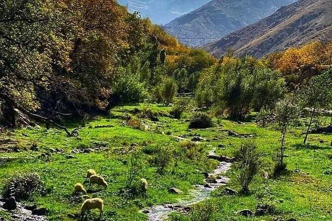 Atlas Mountains Day Trip From Marrakech - Authentic Experiences That Matter