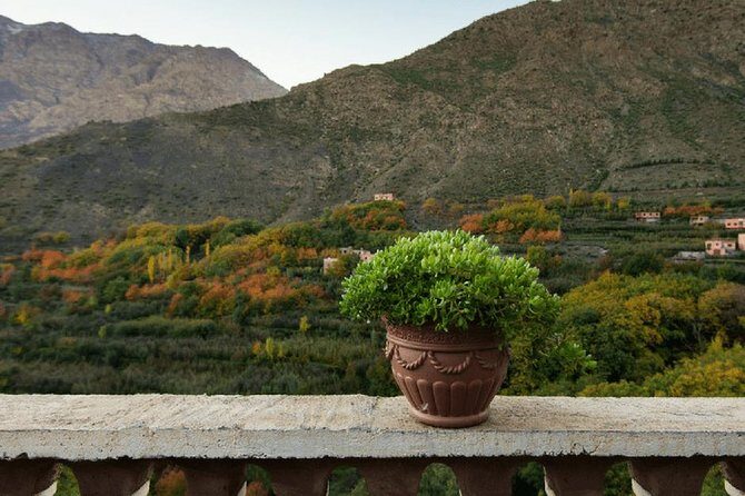 Atlas Mountains Day trips & 3 valleys with Camel ride - The Guide to the Atlas Mountains Day Trip
