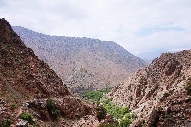 Atlas Mountains Ourika valley and camel Ride - Practical Tips for Travelers