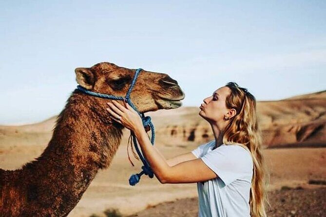 Atlas Mountains :Three Valley Guided Day Trip From Marrakech - FAQ