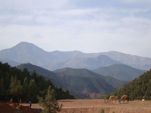 Atlas Mountains Tour from Marrakesh - FAQs