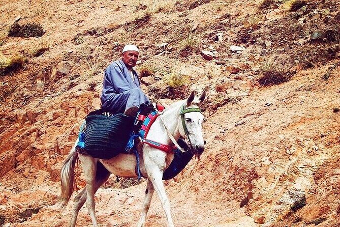 Atlas Mountains Tour from Marrakesh - Exploring Imlil and Berber Villages