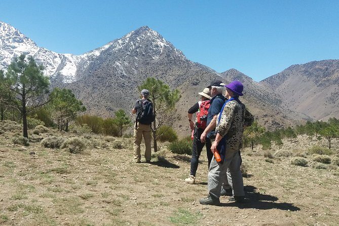 Atlas Mountains, waterfalls and Berber Villages with a guide - Practical Details and What They Mean for You