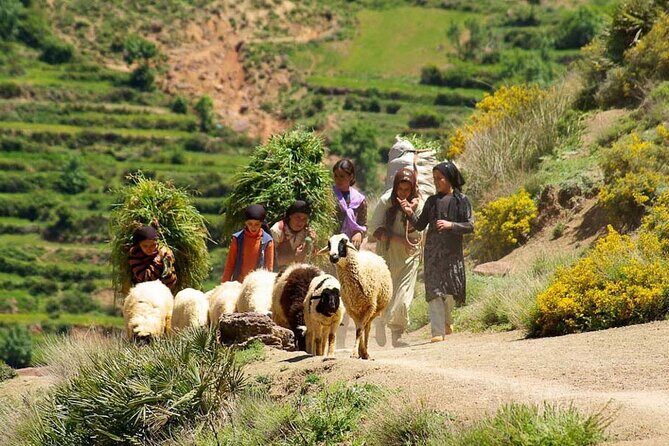 Atlas Mountains with Horse Riding and discover the berber Villages and culture - Final Thoughts