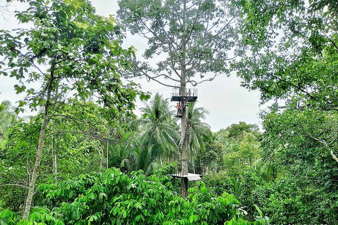 ATV And Zipline Experience on Koh Samui with Transfer - Who Will Love This Tour?