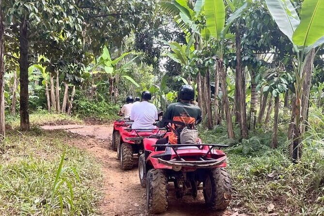 ATV Quad Bike Adventure from Hoi An or Danang - What’s Included and What to Consider