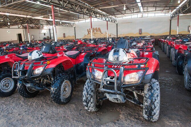 ATV Quad Safari Tour & Camel Ride Dinner and Show - Hurghada - The Sum Up: Who Will Love This Tour?
