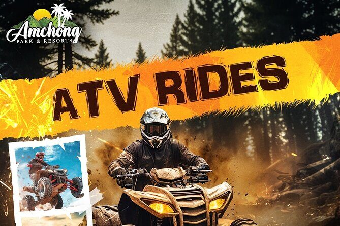 ATV RIDE at Amchong Tea Estate - Who Should Consider This Tour?