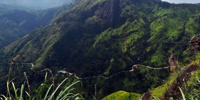 ATV Ride in Ella - The Route: From Tea Fields to Breathtaking Viewpoints