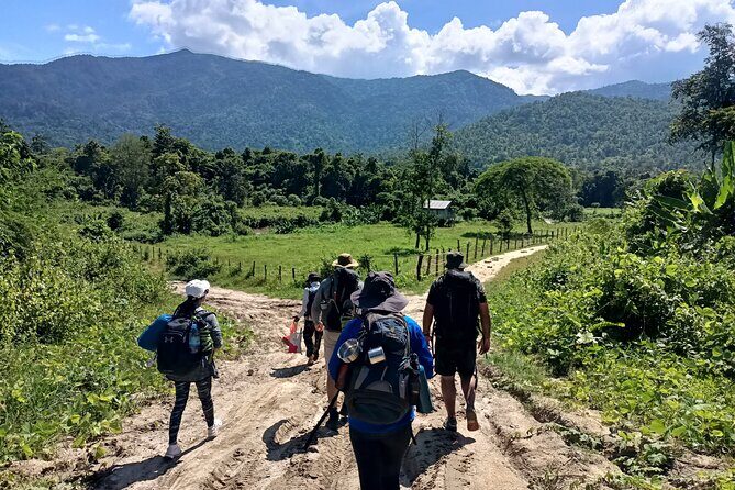 Aural Mountain Trek: Cambodia Tallest Peak Challenge - Exploring Cambodia’s Wild Heart: The Aural Mountain Trek Experience