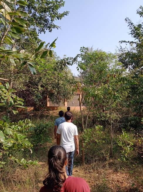 Auroville: Nature Trail Forest Cycling Adventure - The Itinerary: What to Expect