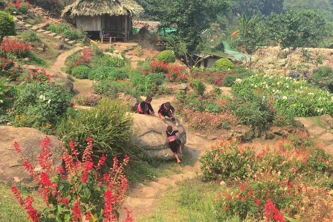 Authentic Chiang Mai Lifestyle Guided Tour - Overview of the Tour Experience