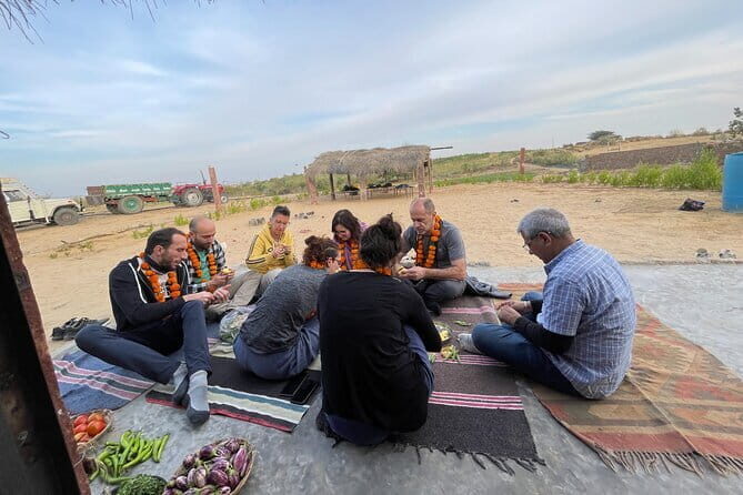 Authentic Desert Farm Visit and Cooking Class - The Sum Up