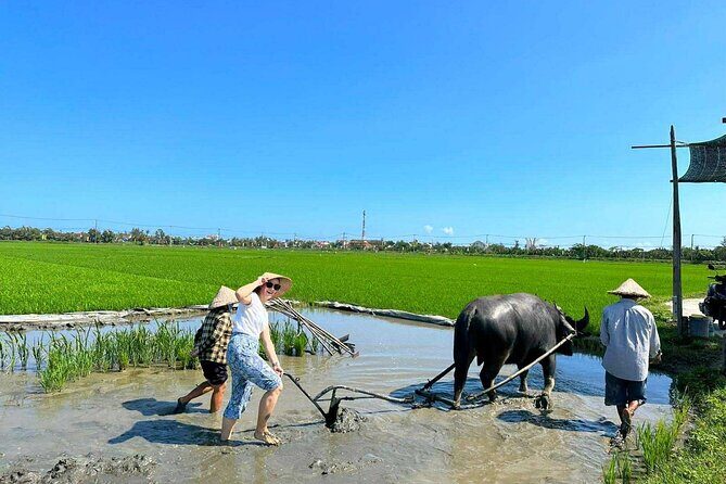 Authentic Hoi An: Explore Countryside with Locals - Who Will Love This Tour?