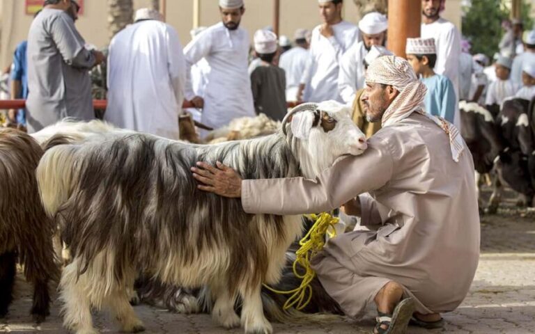 Authentic Oman: 4-Day Cultural Expedition from Muscat - An In-Depth Look at the 4-Day Itinerary